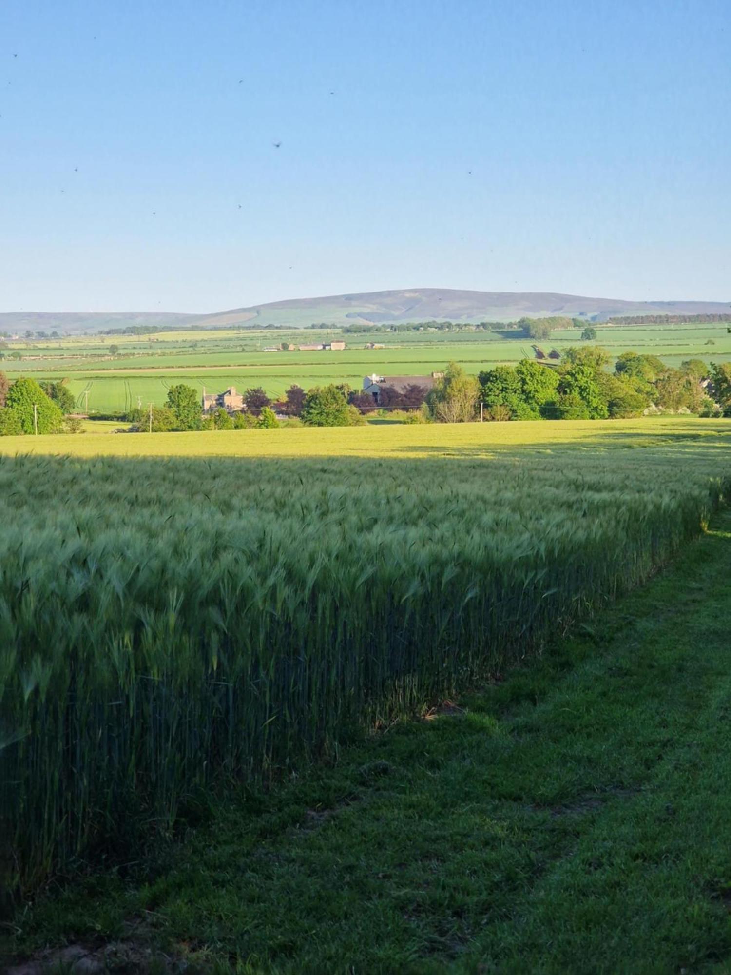 Jerusalem Farm Pods Tranent Exterior photo